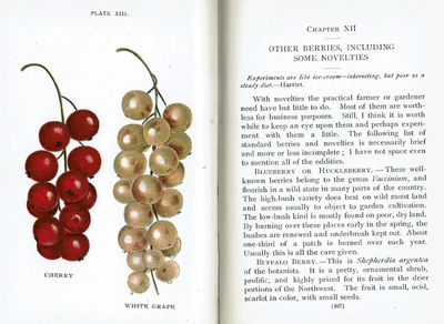 Image for BIGGLE BERRY BOOK: Small Fruit Facts from Bud to Box Conserved into Understandable Form.