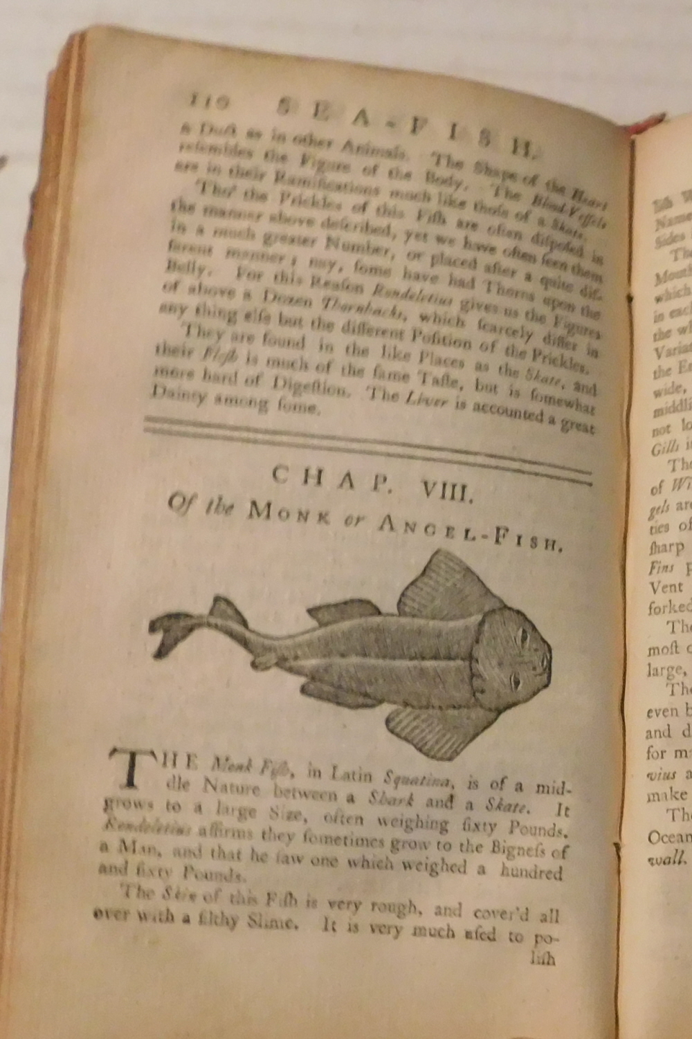 Image for THE ART OF ANGLING, ROCK AND SEA-FISHING: With the Natural History of River, Pond, and Sea-Fish. Illustrated with 133 cuts. THE ART OF ANGLING, ROCK AND SEA-FISHING: With the Natural History of River, Pond, and Sea-Fish. Illustrated with 133 cuts.