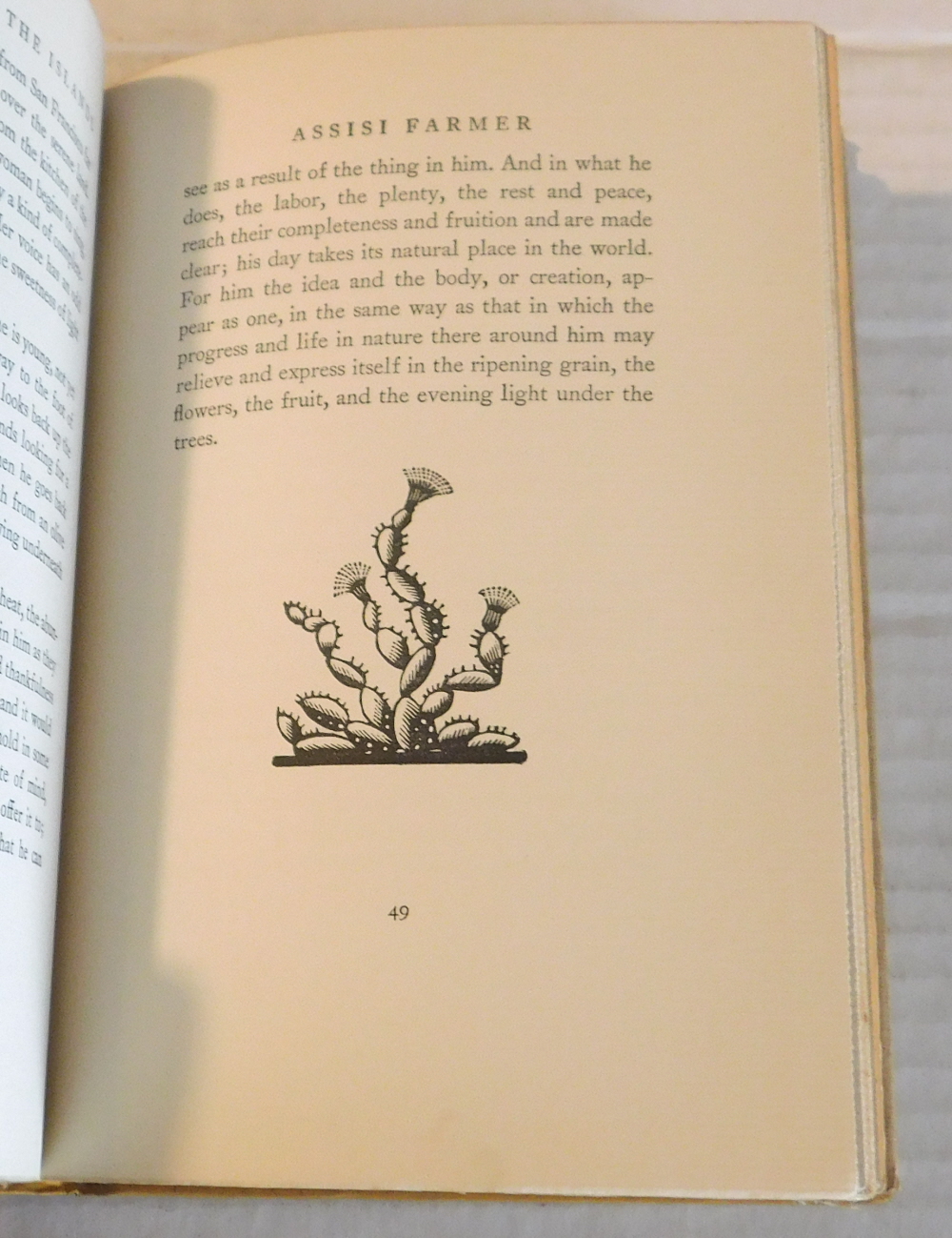 THE STREET OF THE ISLANDS. [by] Stark Young. Woodcuts by Ilse Bischoff.