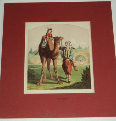 Thumbnail Image
